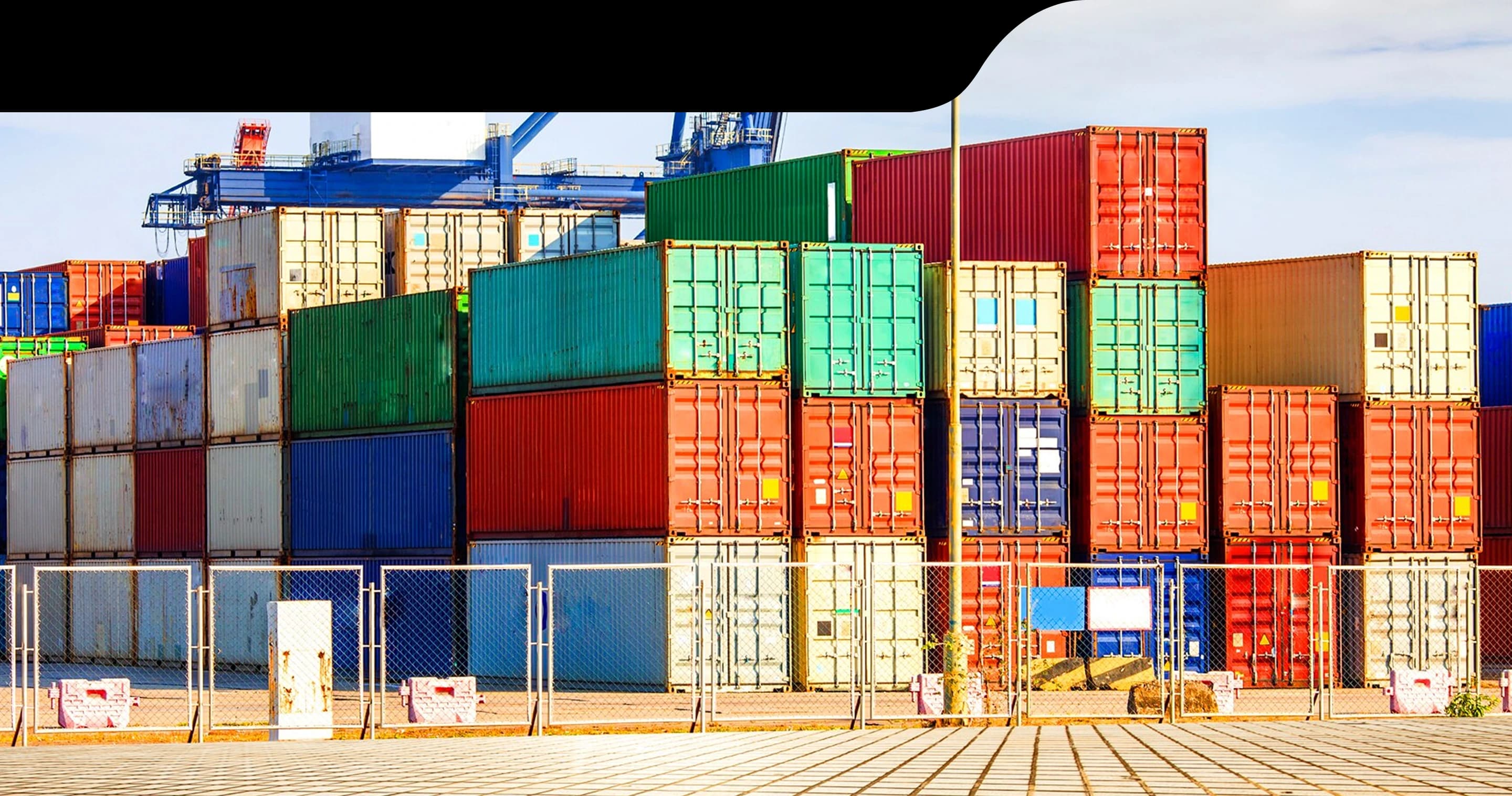 Operate globally with the efficiency of a local business